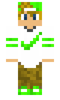Qumi minecraft skin