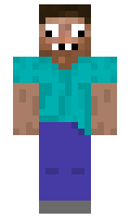 dimasik123 minecraft skin