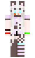 paf minecraft skin