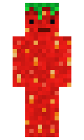 f1d1fc90bce86f minecraft skin