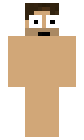 idriz minecraft skin