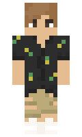 f222787151ff6f minecraft skin