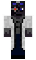 f22c9d4d95f461 minecraft skin