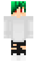 Mody minecraft skin