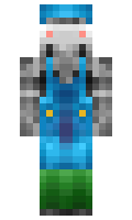 f285d0962d24c1 minecraft skin