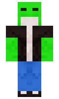 f28d9d137571fa minecraft skin