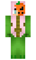 f2ab47d6cd05d2 minecraft skin