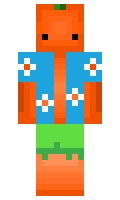 Voks33 minecraft skin