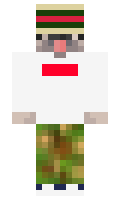 dafo minecraft skin