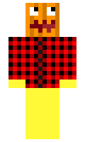 f3084e1193442c minecraft skin