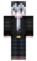 f31521a6570161 minecraft skin