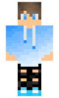 zVZN minecraft skin