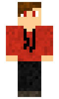 f348d87ec3b4e8 minecraft skin