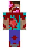 f34c9bb2a4cf27 minecraft skin