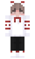 f351912a261b2e minecraft skin