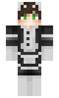 f35ae8714facc0 minecraft skin