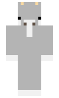 TERTERo minecraft skin