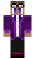 aywings minecraft skin