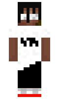 Squid2278 minecraft skin