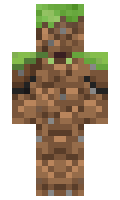 R3ception minecraft skin