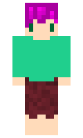 f3e24d88b545fa minecraft skin