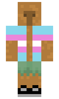 f3e9df30018fb4 minecraft skin