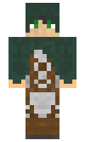 iiiiiiiii minecraft skin