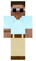 noil minecraft skin