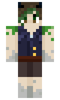 f456467e647811 minecraft skin