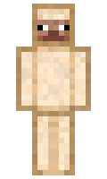 f49b410090b6a5 minecraft skin