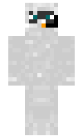 IronNK minecraft skin