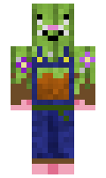 f4bb6f191fd0d2 minecraft skin