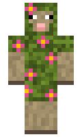 urodfltsirrbyn minecraft skin