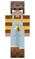 f4cb987e76a1de minecraft skin