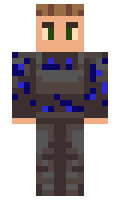 Plaktukas minecraft skin