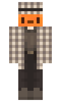 f502d4fa9ede45 minecraft skin