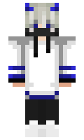 Flgw minecraft skin