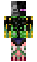 f55770035c8542 minecraft skin