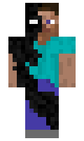 f579229911e4ea minecraft skin