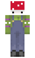 f61f3251726829 minecraft skin