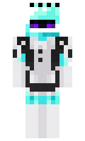 f61f8d9fc93bdc minecraft skin