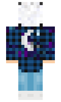 f627ee04be86e9 minecraft skin