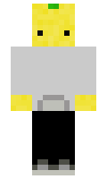 f629ff79dad74f minecraft skin