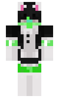 fatpickletoes minecraft skin