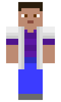 f657694d1dc1ba minecraft skin