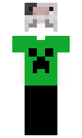 f66c681f388173 minecraft skin