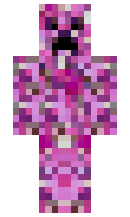 Paul17 minecraft skin