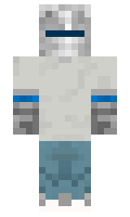 RayJNS minecraft skin