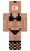 h1o minecraft skin