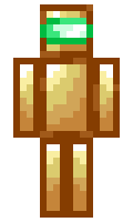 CCCL minecraft skin